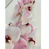 Orchid - single stem - light pink