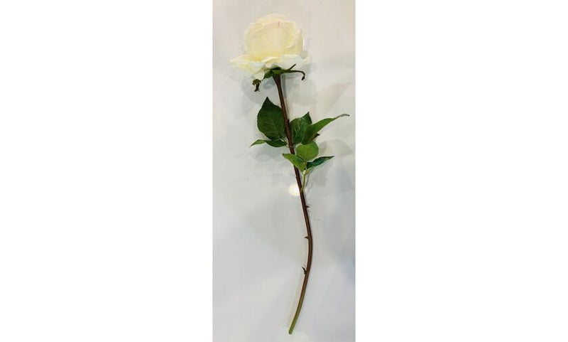 York Rose White 52cm